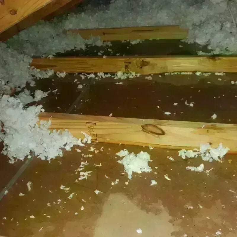 Attic Water Damage in Cottage Grove, OR