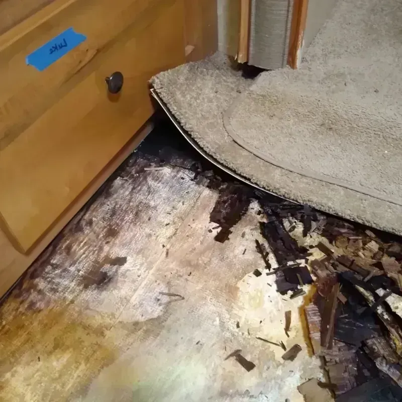 Wood Floor Water Damage in Cottage Grove, OR